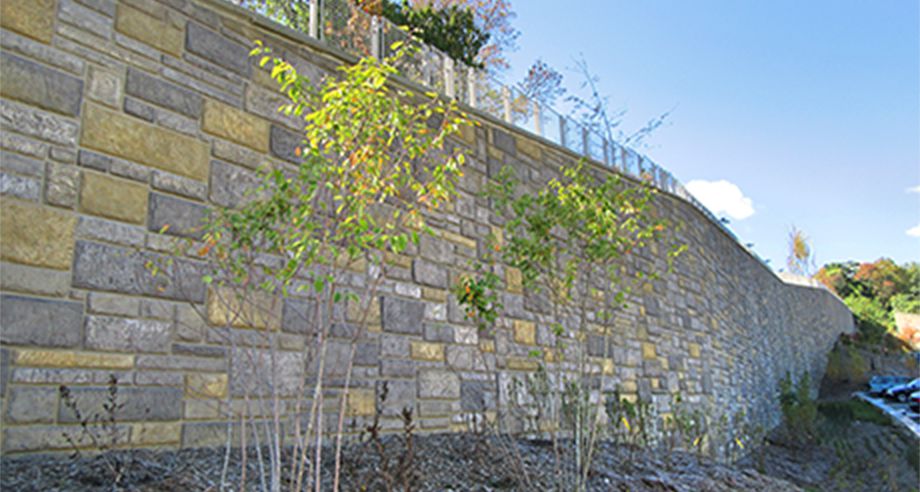 Retaining Wall at the Smithsonian Zoo